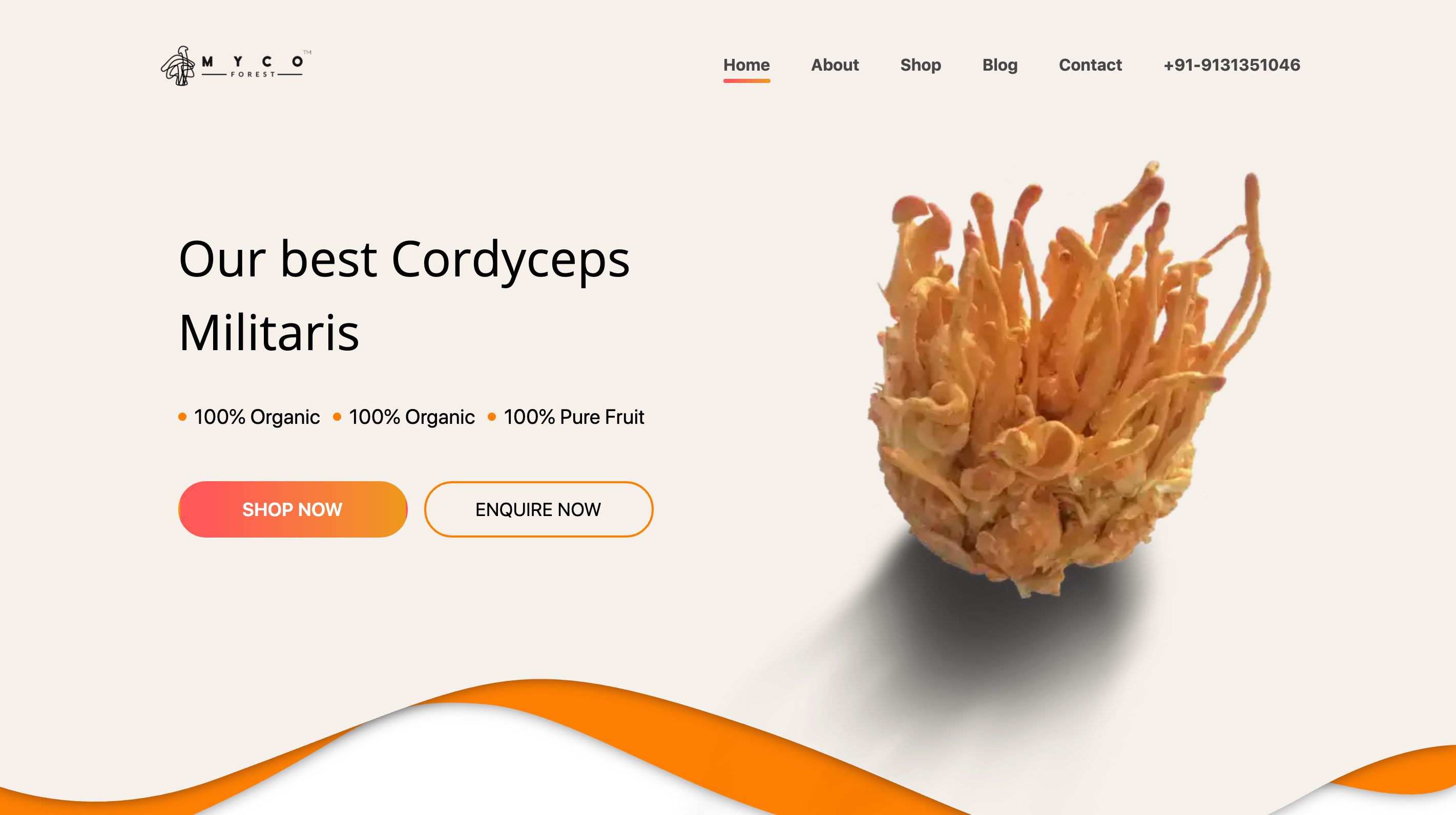 MycoForest